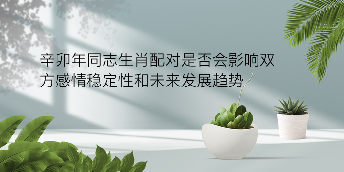 生肖配对到游戏截图