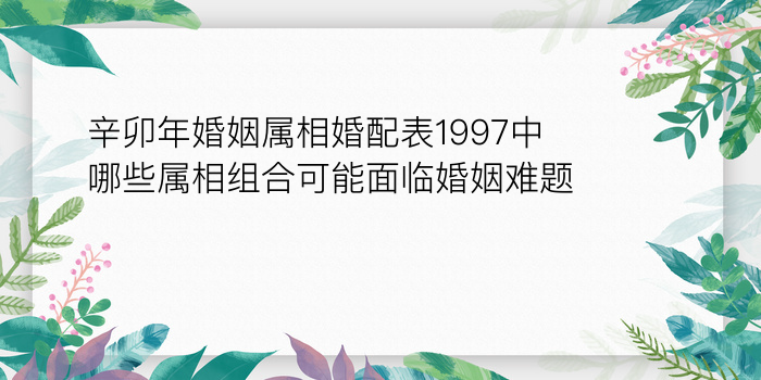 车牌号测吉凶查询游戏截图