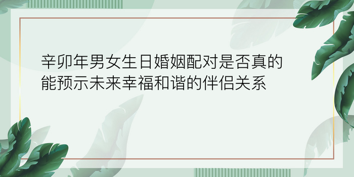 属相猪和猪婚配可以吗游戏截图