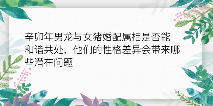 辛卯年男龙与女猪婚配属相是否能和谐共处，他们的性格差异会带来哪些潜在问题