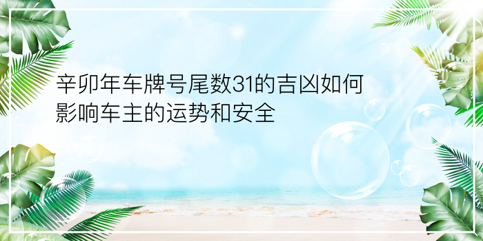 预测车牌号码吉凶游戏截图