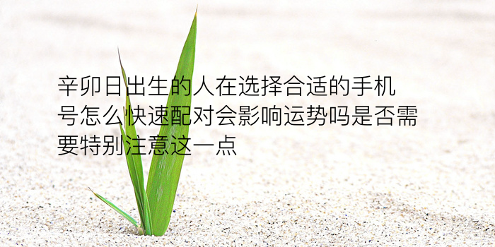 测试姓名配对游戏截图