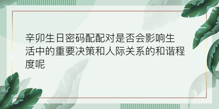 婚姻最佳的生肖配对游戏截图