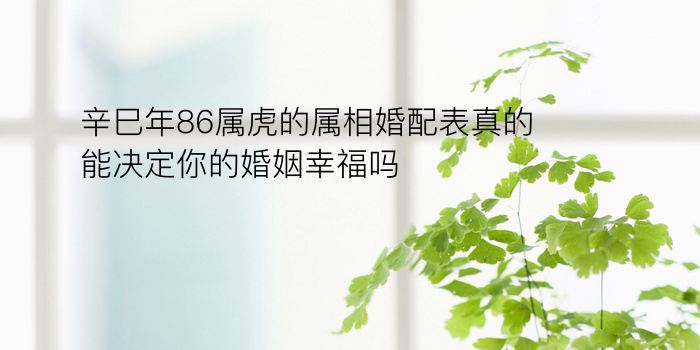 辛巳年86属虎的属相婚配表真的能决定你的婚姻幸福吗