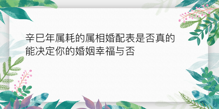 鼠婚配属相游戏截图