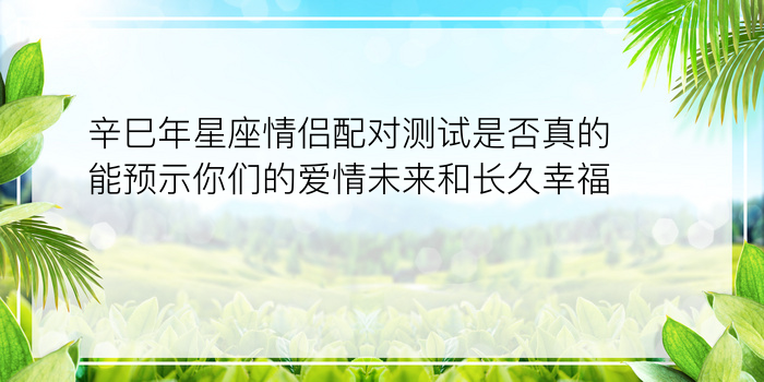 辛巳年星座情侣配对测试是否真的能预示你们的爱情未来和长久幸福