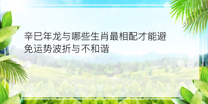 辛巳年龙与哪些生肖最相配才能避免运势波折与不和谐