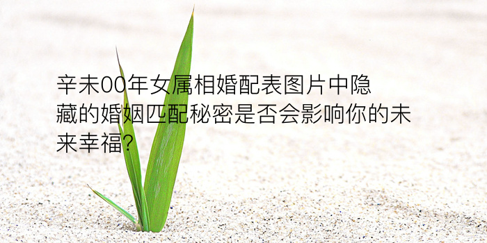 手机号配对苹果账号游戏截图