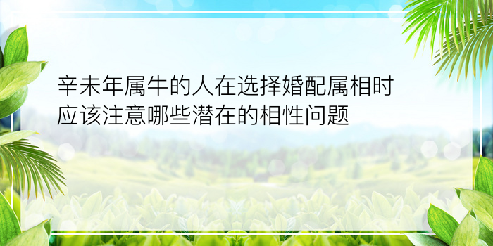 辛未年属牛的人在选择婚配属相时应该注意哪些潜在的相性问题