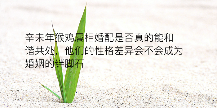 婚配属相表查询游戏截图