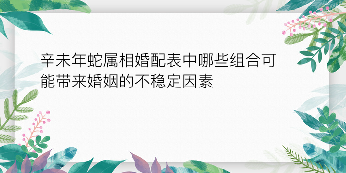 辛未年蛇属相婚配表中哪些组合可能带来婚姻的不稳定因素