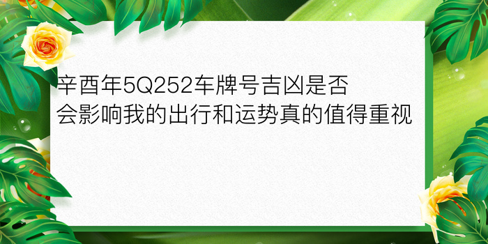 辛酉年5Q252车牌号吉凶是否会影响我的出行和运势真的值得重视吗