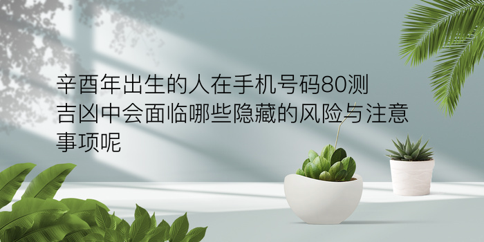 辛酉年出生的人在手机号码80测吉凶中会面临哪些隐藏的风险与注意事项呢