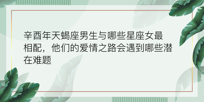 辛酉年天蝎座男生与哪些星座女最相配，他们的爱情之路会遇到哪些潜在难题