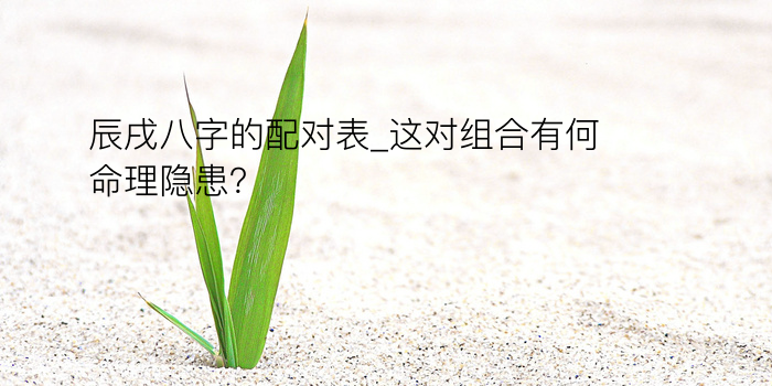 宝宝八字起名游戏截图