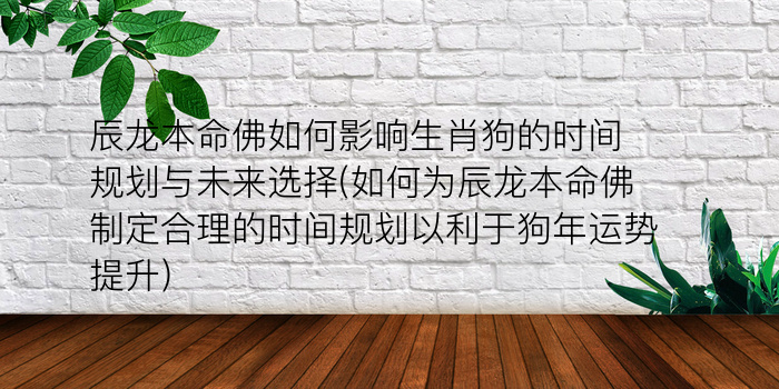 辰龙本命佛如何影响生肖狗的时间规划与未来选择(如何为辰龙本命佛制定合理的时间规划以利于狗年运势提升)