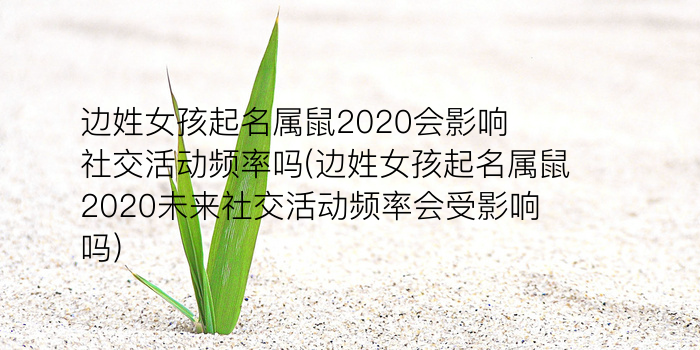 沈阳公司起名游戏截图