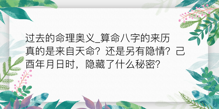 袁天罡八字称骨算命游戏截图