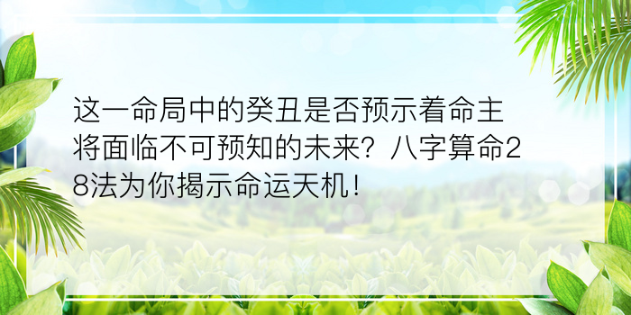 龙的最佳属相婚配表游戏截图