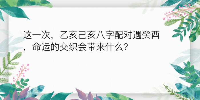 这一次，乙亥己亥八字配对遇癸酉，命运的交织会带来什么？