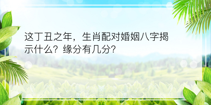 这丁丑之年，生肖配对婚姻八字揭示什么？缘分有几分？