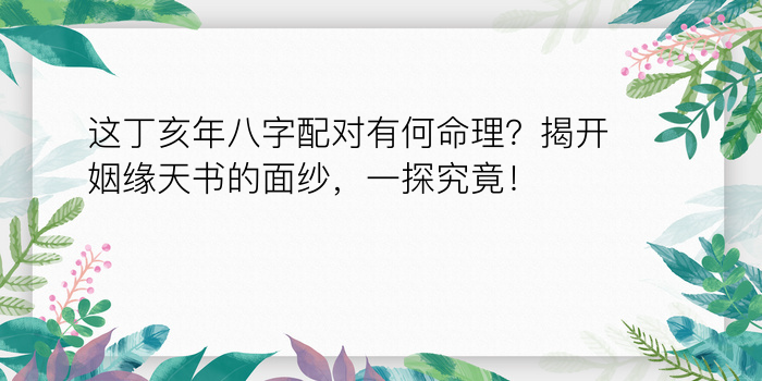 这丁亥年八字配对有何命理？揭开姻缘天书的面纱，一探究竟！