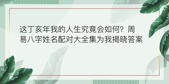 男龙最佳婚配属相游戏截图