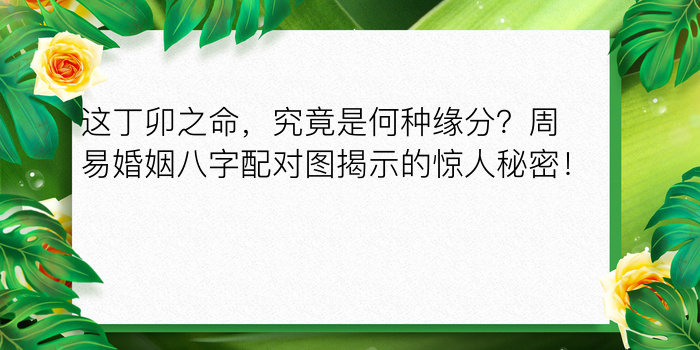 这丁卯之命，究竟是何种缘分？周易婚姻八字配对图揭示的惊人秘密！