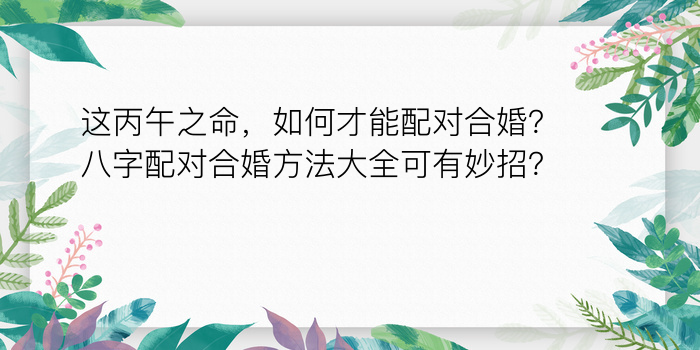 这丙午之命，如何才能配对合婚？八字配对合婚方法大全可有妙招？