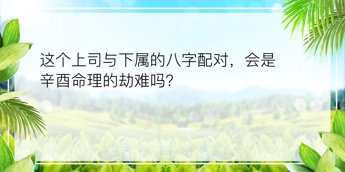 这个上司与下属的八字配对，会是辛酉命理的劫难吗？