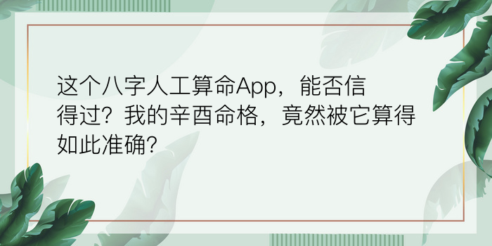 易奇八字运程车解读游戏截图