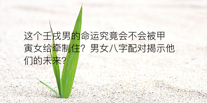 算八字运程收费游戏截图