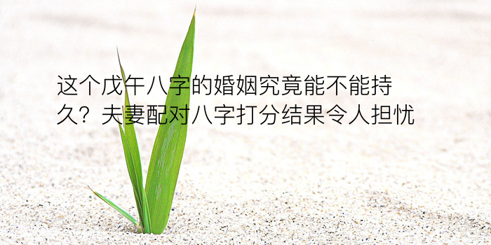 免费八字算命算婚姻游戏截图