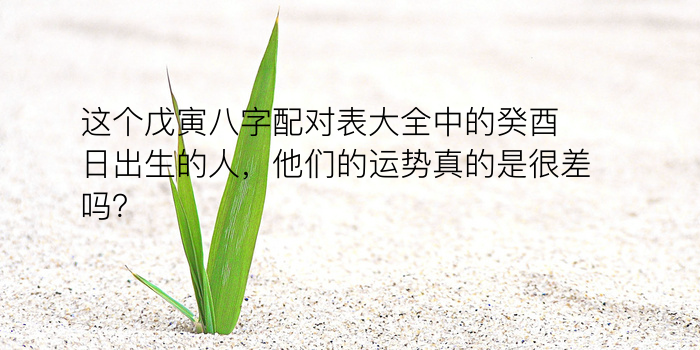 八字运程游戏截图