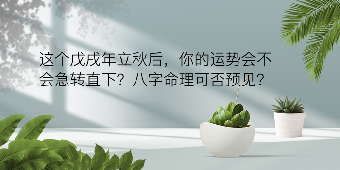 八字起名算命游戏截图