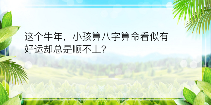 这个牛年，小孩算八字算命看似有好运却总是顺不上？