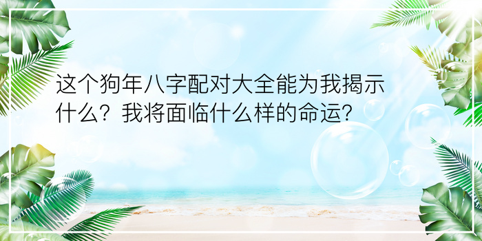 这个狗年八字配对大全能为我揭示什么？我将面临什么样的命运？