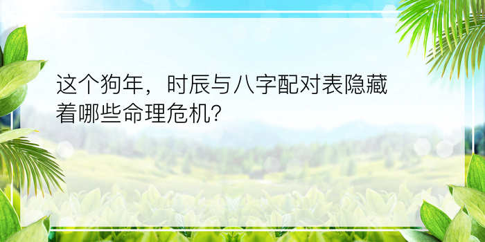 这个狗年，时辰与八字配对表隐藏着哪些命理危机？