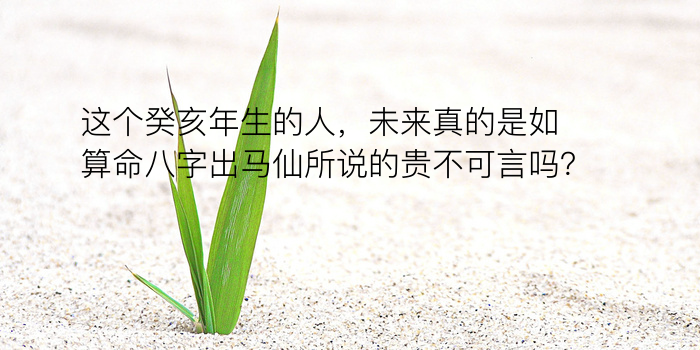 八字年份运程游戏截图