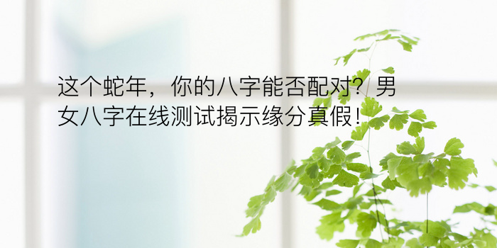 这个蛇年，你的八字能否配对？男女八字在线测试揭示缘分真假！