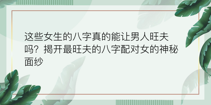 称骨算命在线游戏截图