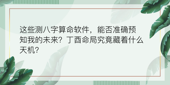 老黄历免费八字算命游戏截图