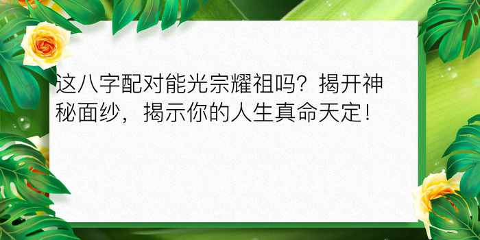 紫微八字算运程游戏截图