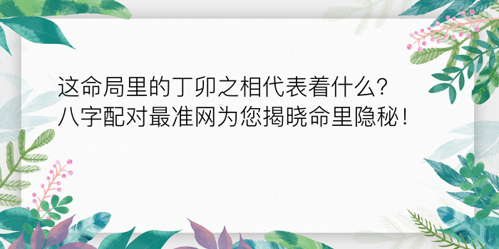 这命局里的丁卯之相代表着什么？八字配对最准网为您揭晓命里隐秘！