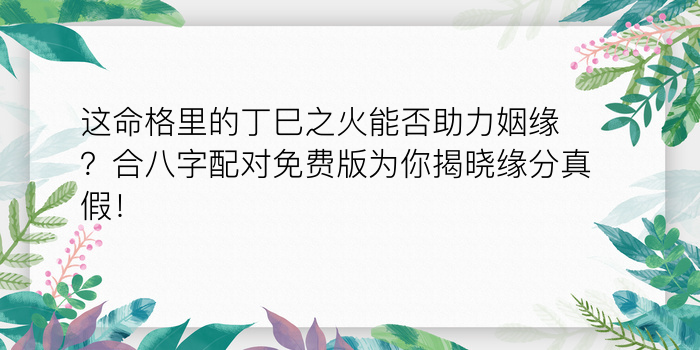 八字测试运程游戏截图