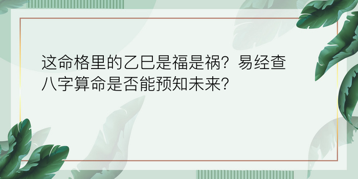 八字算命今日运程游戏截图