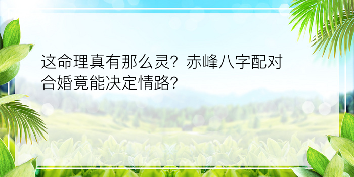 这命理真有那么灵？赤峰八字配对合婚竟能决定情路？