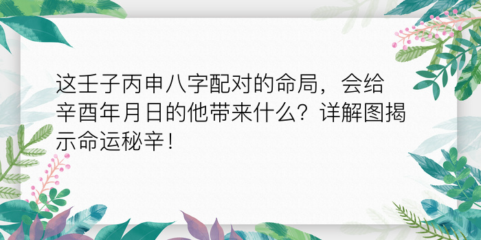 这壬子丙申八字配对的命局，会给辛酉年月日的他带来什么？详解图揭示命运秘辛！