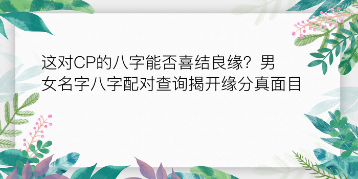 八字爱情配对游戏截图