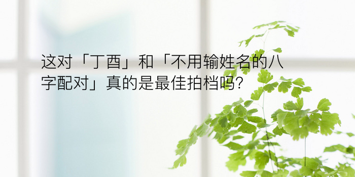 这对「丁酉」和「不用输姓名的八字配对」真的是最佳拍档吗？